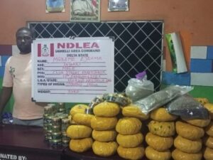 NDLEA Foils Drug Trafficking Attempts.