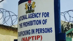NAPTIP, ICMPD Launch Anti-Trafficking Initiative in Edo Schools.