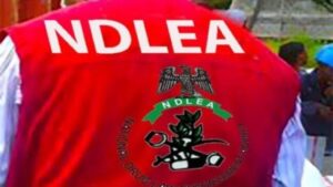 NDLEA Nabs Fugitive Drug Kingpin After 13-Year Manhunt.